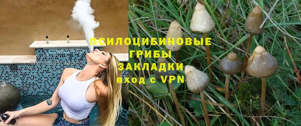 мескалин Карпинск