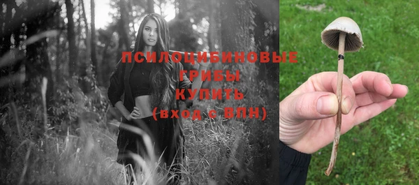 мескалин Карпинск